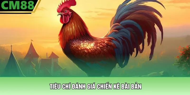 Gà Đá Bài Bản – Những Cỗ Máy Chiến Đấu Thực Thụ Tại CM88 2 Tiêu chí đánh giá chiến kê bài bản
